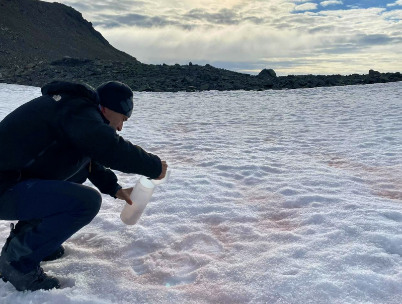 Press Release - The Extent of Algae Turning Antarctic Snow Pink Is Greater Than Expected