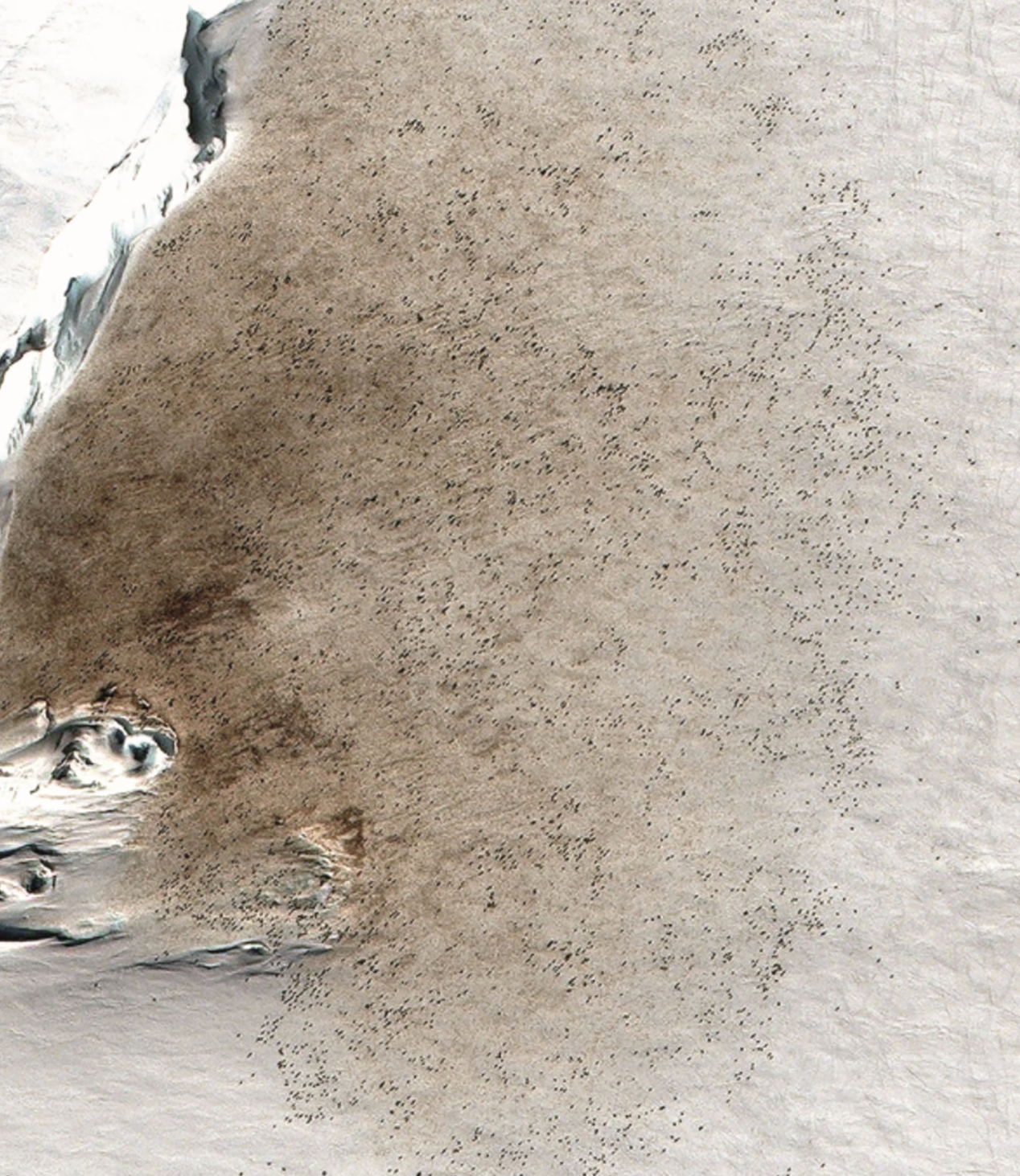 Penguin guano sampling
