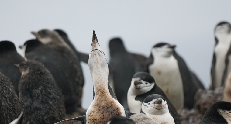 Canal Sur Radio - Interview on the program Canal Sur Mediodía Cádiz