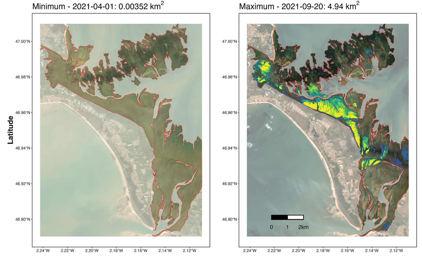 A sentinel watching over inter-tidal seagrass phenology across Western Europe and North Africa