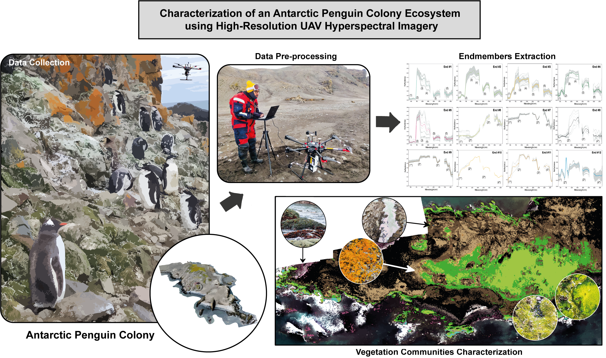 Characterization of an antarctic penguin colony ecosystem using high-resolution UAV hyperspectral imagery