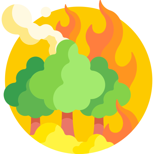 Wildfires
