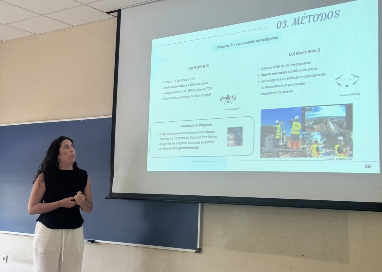 Master's thesis defense