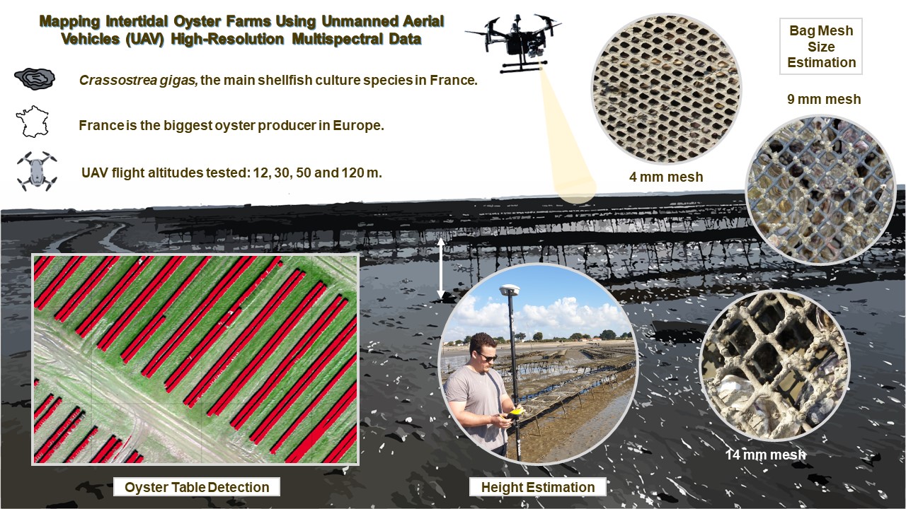 Mapping intertidal oyster farms using unmanned aerial vehicles (UAV) high-resolution multispectral data