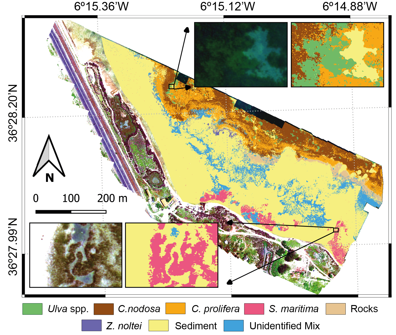 Using a UAV-Mounted Multispectral Camera for the Monitoring of Marine Macrophytes